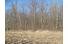 Property photo 19 - 44 Acres Offered in 3 Tracts
